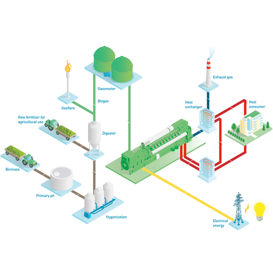 The Sweet Spot of the Brazilian Sugar-Energy System